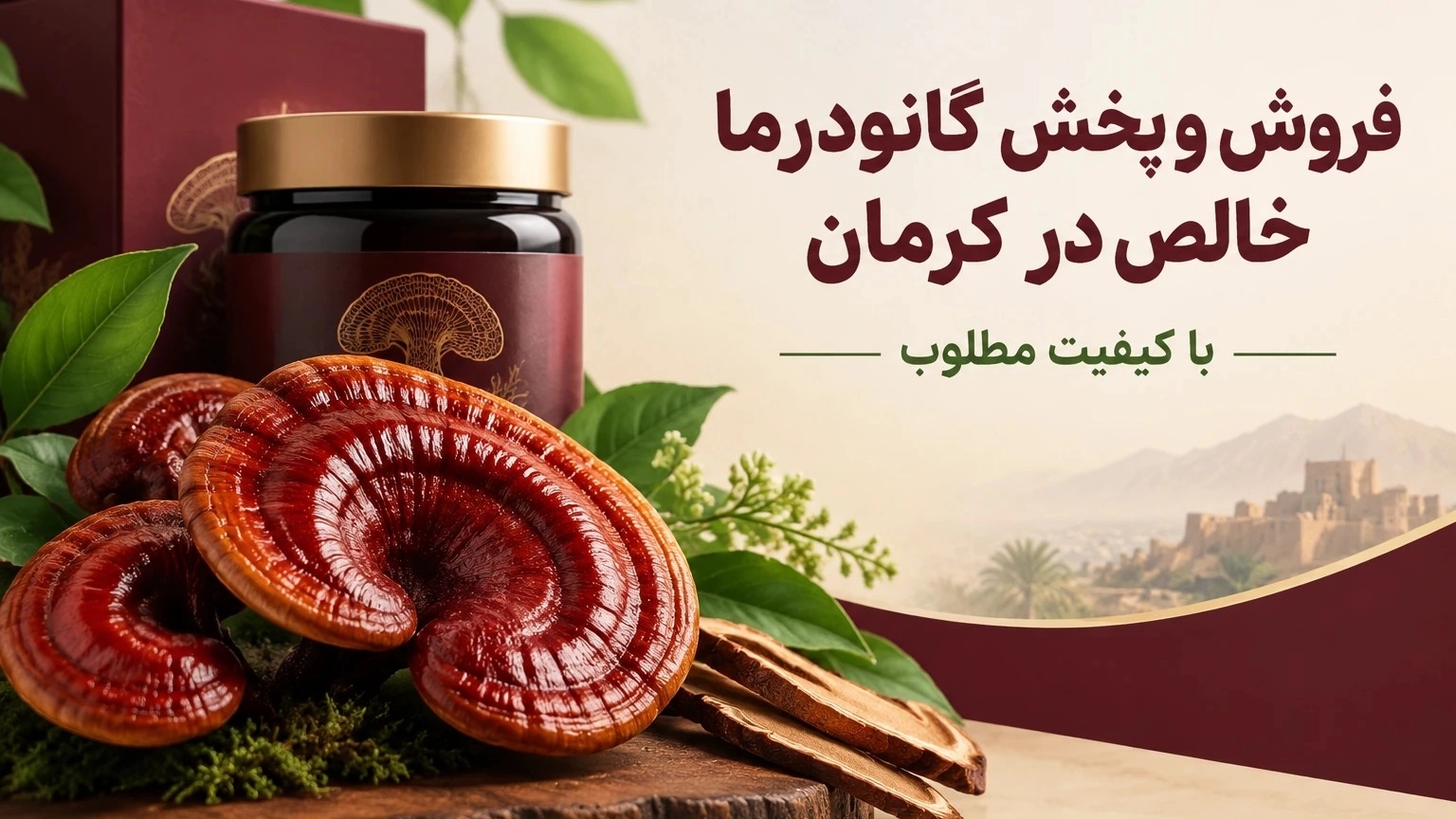 فروش و پخش گانودرما خالص در کرمان با کیفیت مطلوب فروش و پخش گانودرما خالص در کرمان با کیفیت مطلوب